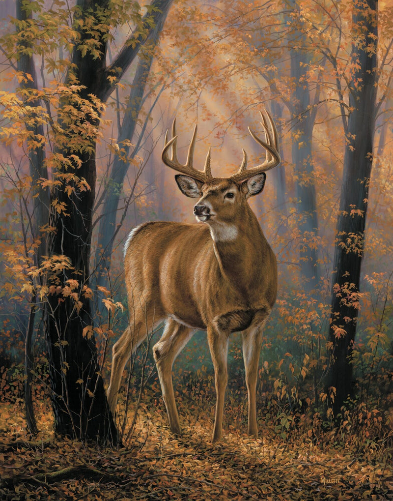 Woodland Mist - Whitetail Deer by Rosemary Millette