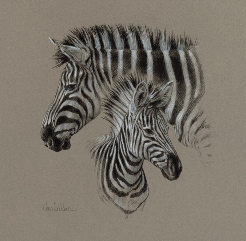 Zebra Pair Charcoal