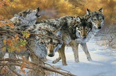 Wolf & Fox Artwork
