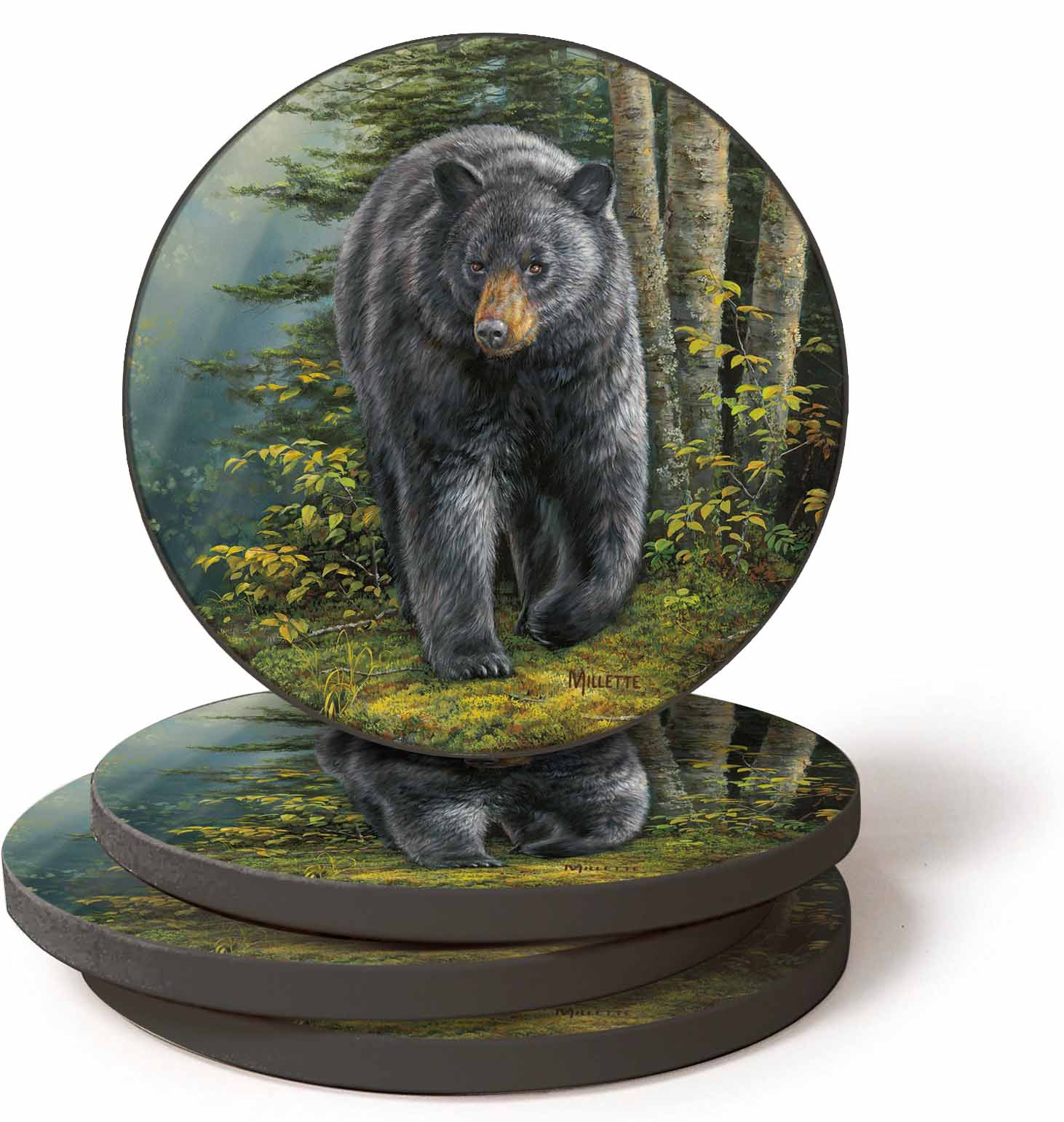 Black Bear - Coasters Coasters from Wild Wings