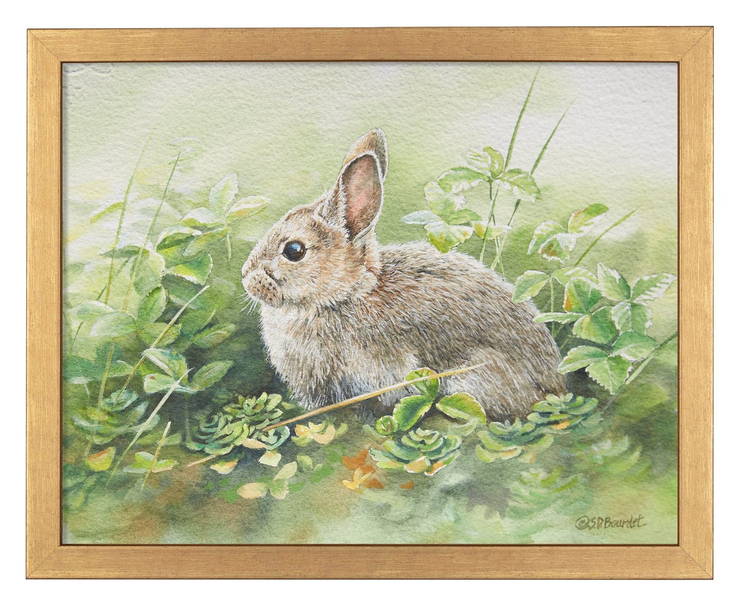 154817_Cottontail Adventures_11x14_FRA_GOLD 102643.jpg