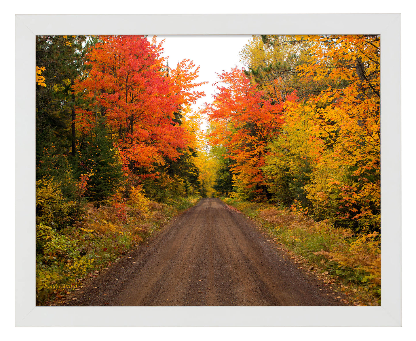 168456_11x14_ Autumn Bliss_FRA_Print_WF.jpg