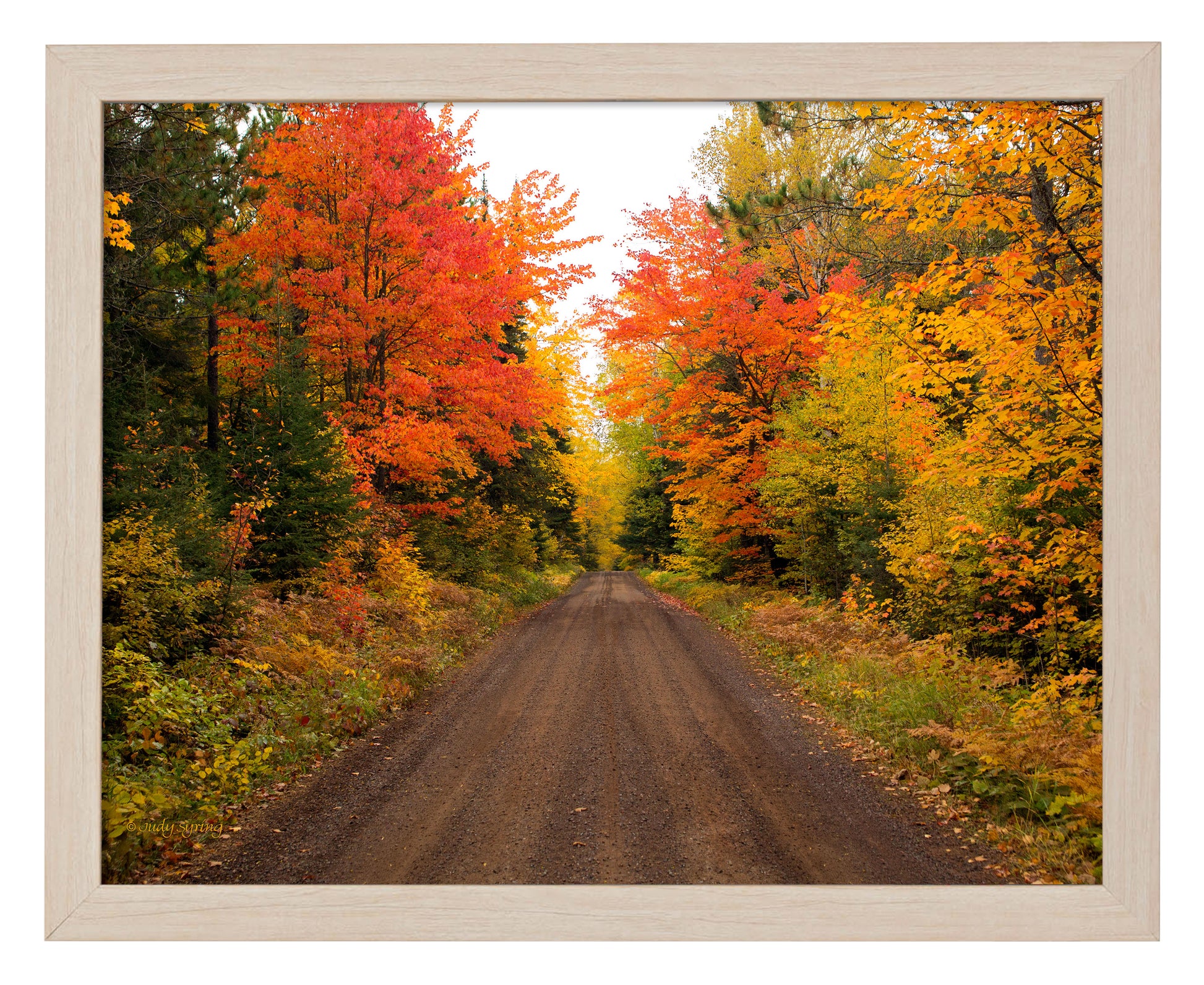 168458_11x14_ Autumn Bliss_FRA_Print_NF.jpg