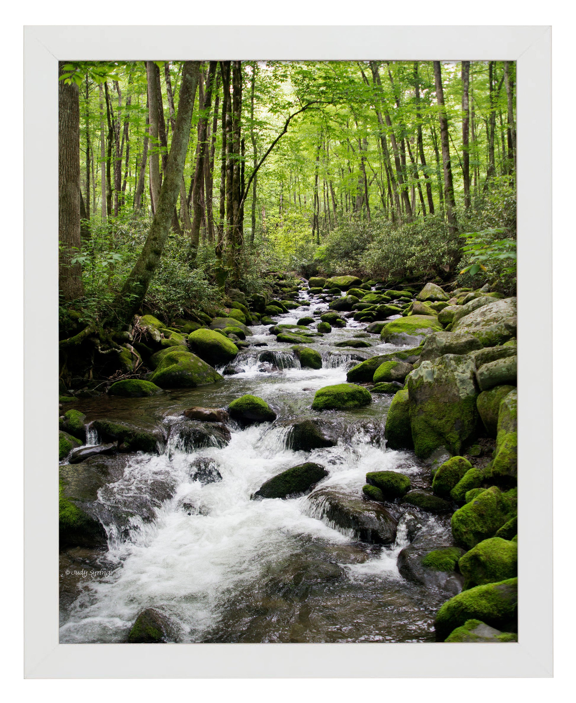 168474_11x14_Woodland Stream_FRA_Print_WF.jpg