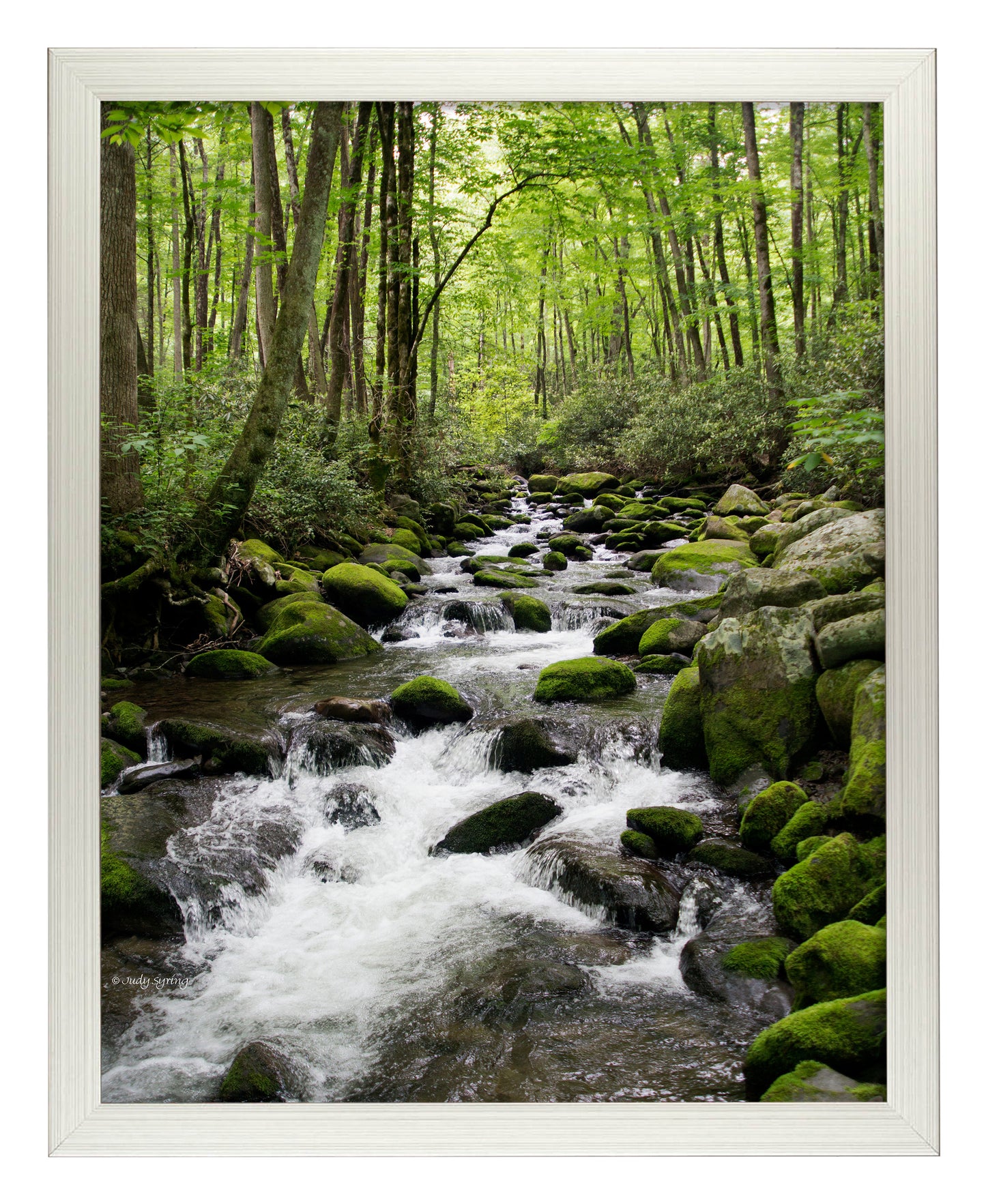 168475_11x14_Woodland Stream_FRA_Print_SF.jpg