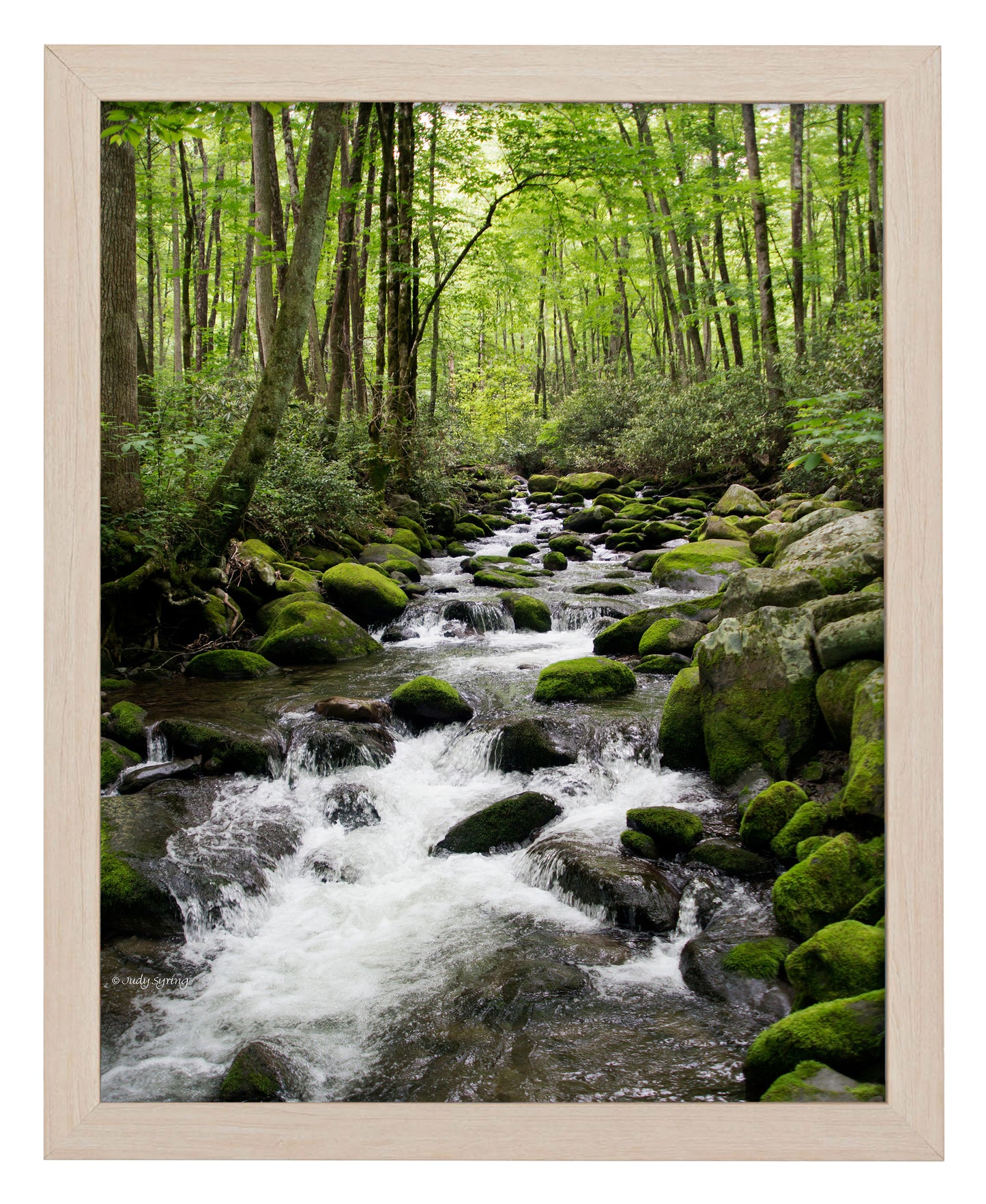 168476_11x14_Woodland Stream_FRA_Print_NF.jpg