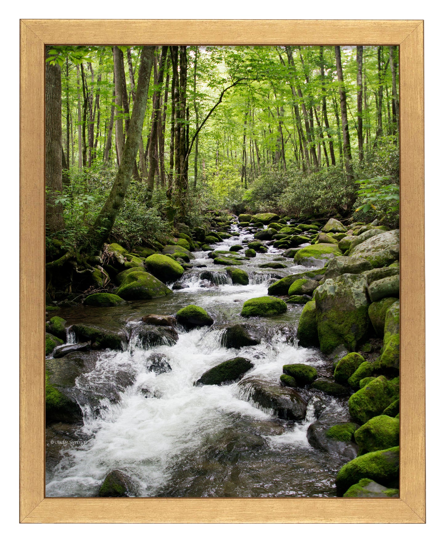 168477_11x14_Woodland Stream_FRA_Print_GF.jpg