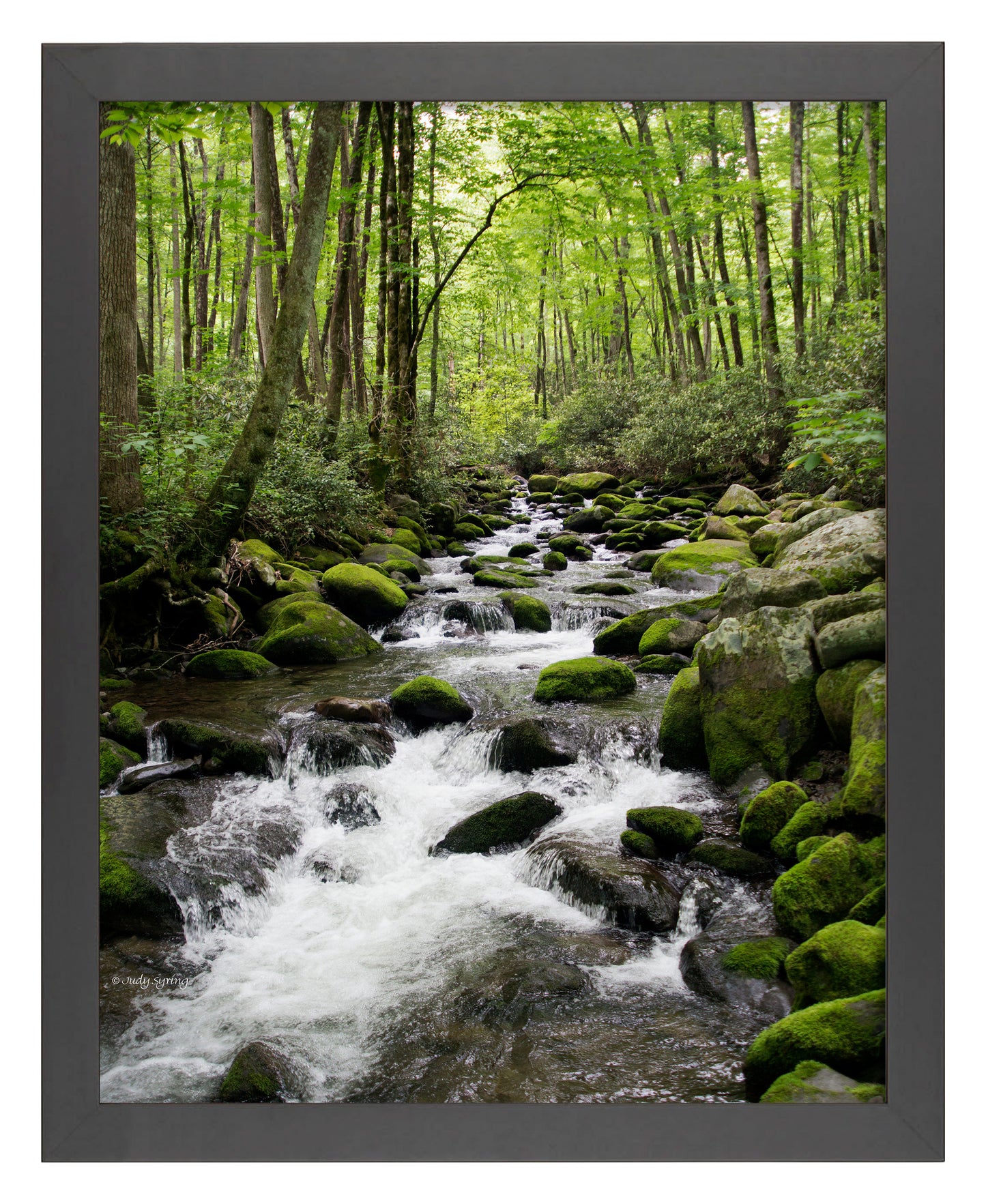 168478_11x14_Woodland Stream_FRA_Print_BF.jpg