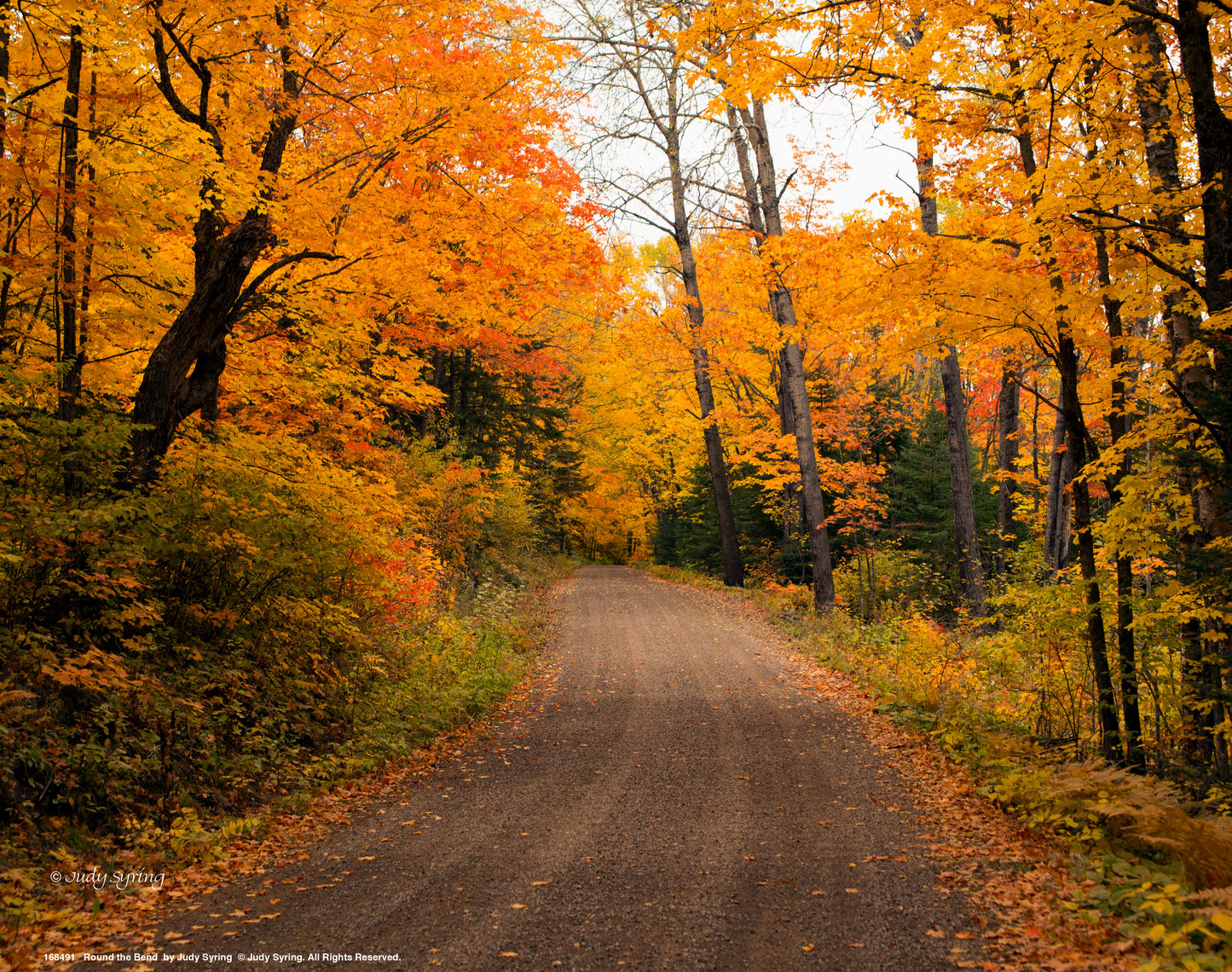 168491_11x14_Round the Bend_Art Print.jpg