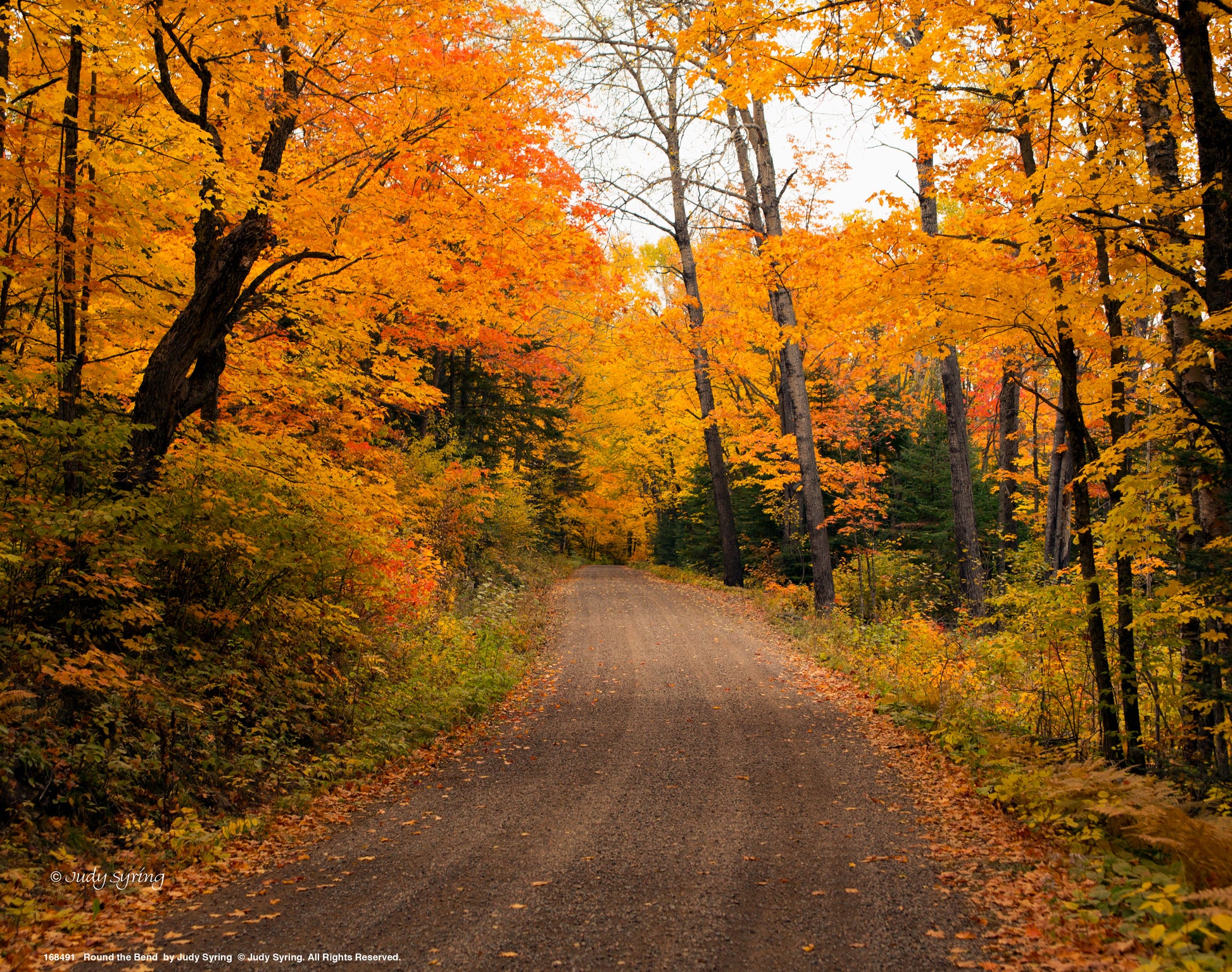 168491_11x14_Round the Bend_Art Print.jpg