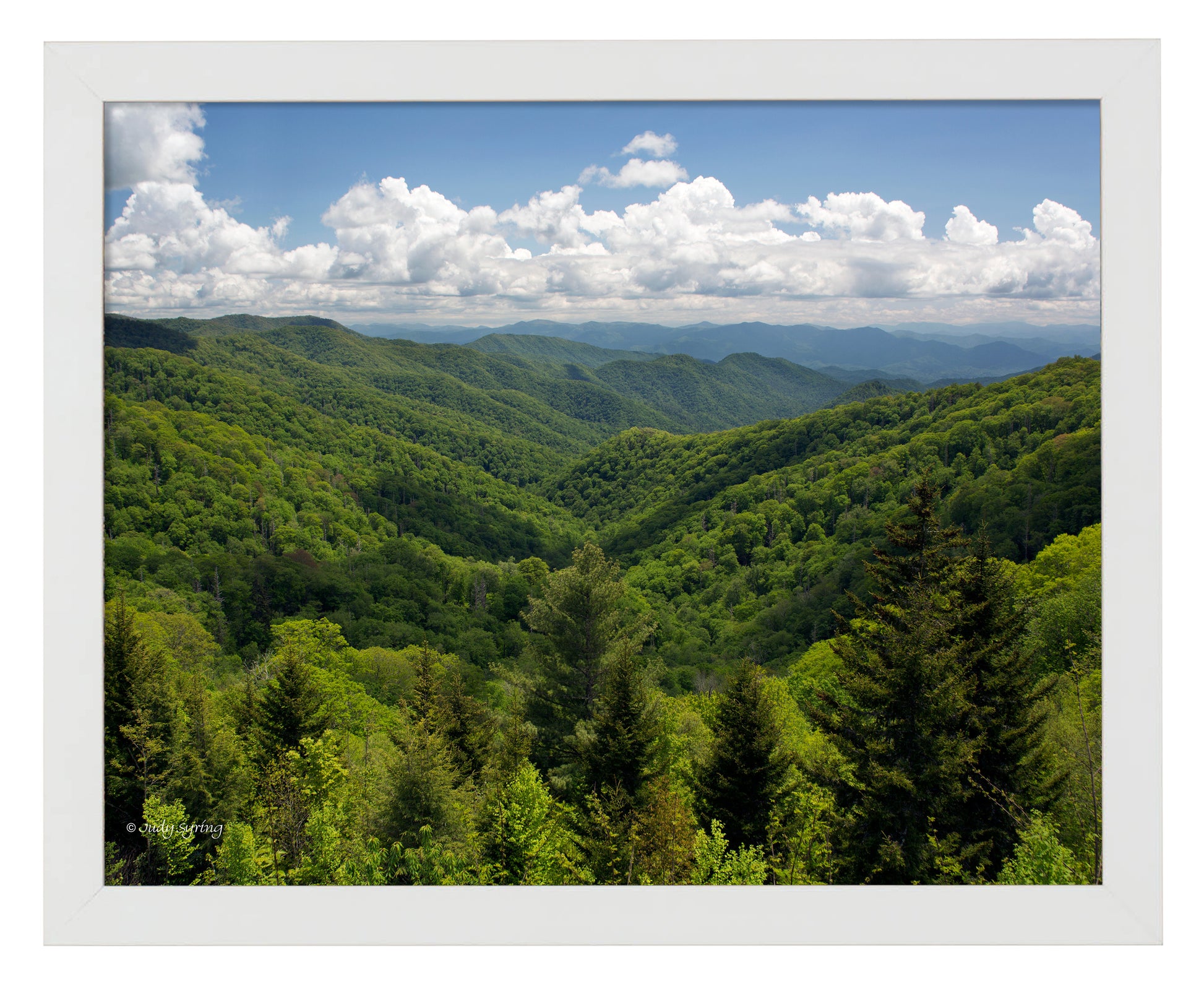 168492_11x14_Smoky Mountains_FRA_Print_WF.jpg