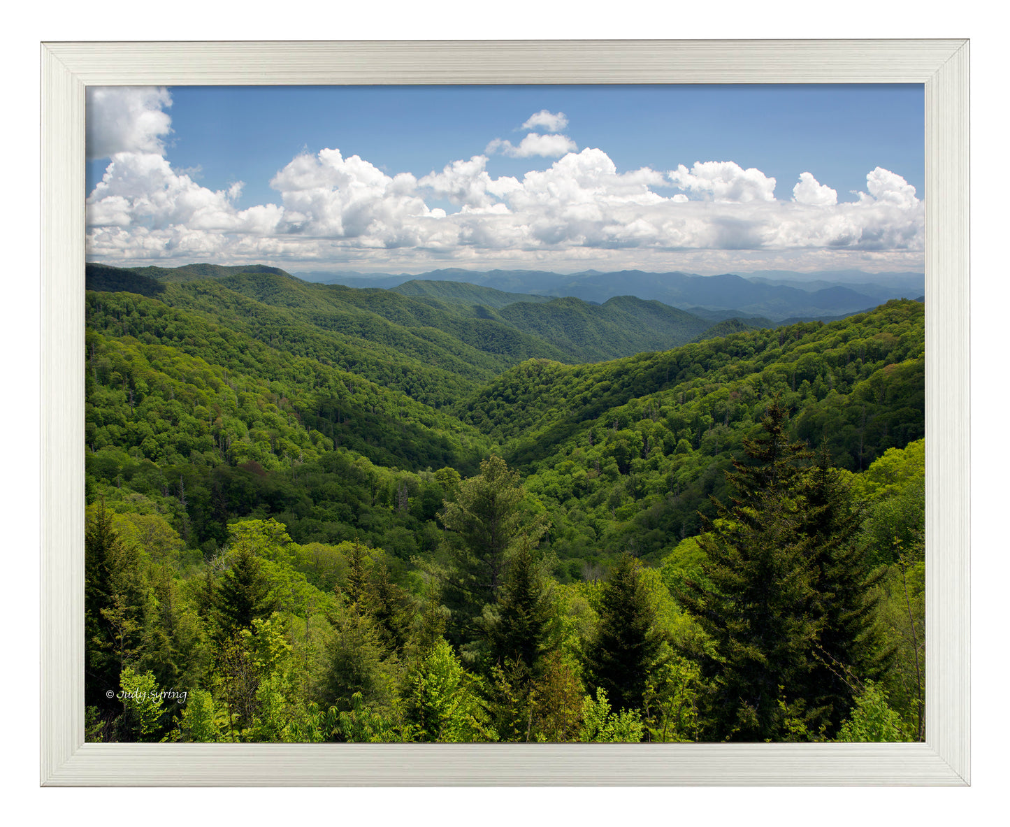 168493_11x14_Smoky Mountains_FRA_Print_SF.jpg