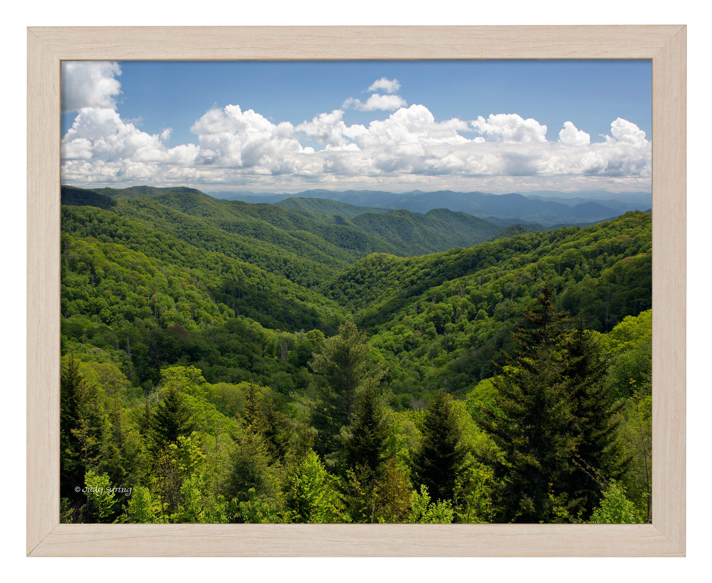 168494_11x14_Smoky Mountains_FRA_Print_NF.jpg