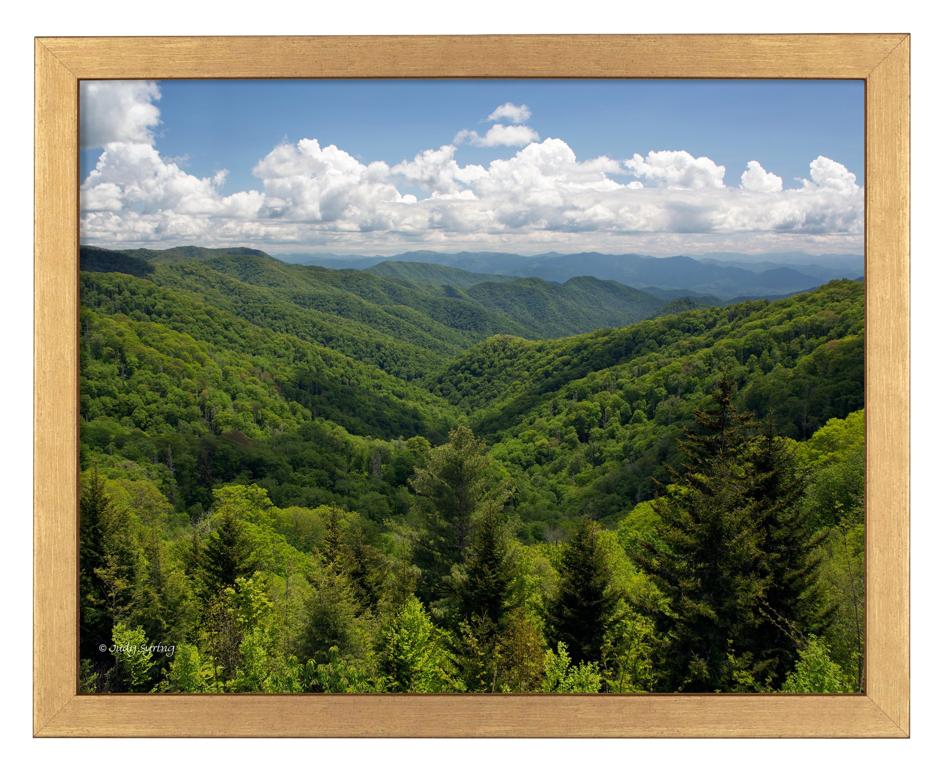 168495_11x14_Smoky Mountains_FRA_Print_GF.jpg