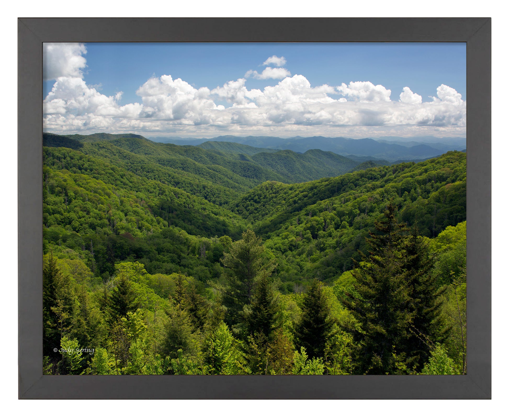 168496_11x14_Smoky Mountains_FRA_Print_BF.jpg