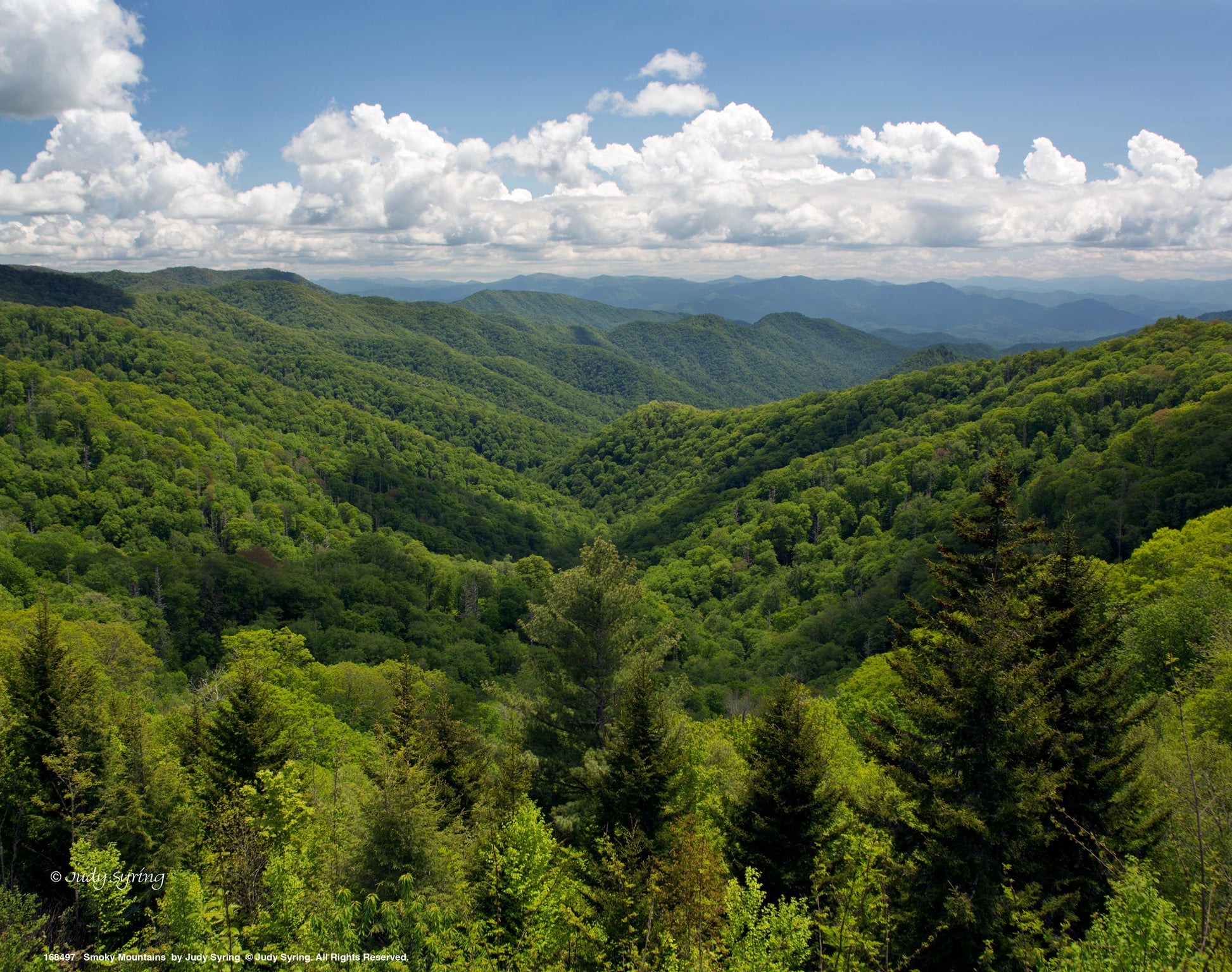 168497_11x14_Smoky Mountains_Art Print.jpg