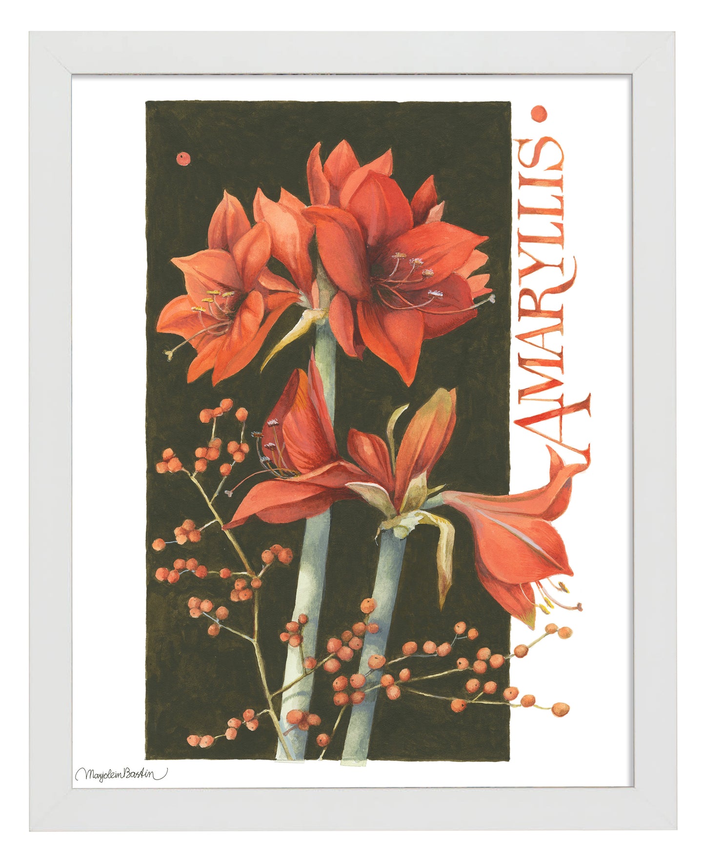 168498_11x14_Amaryllis_FRA_Print_WF.jpg