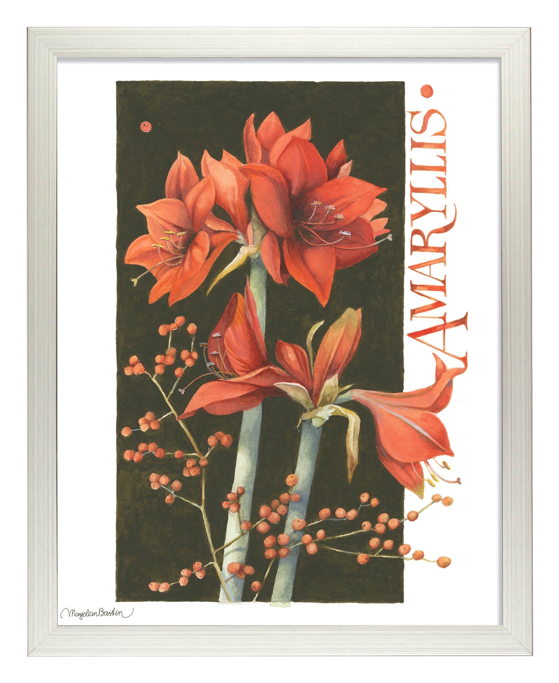 168499_11x14_Amaryllis_FRA_Print_SF.jpg