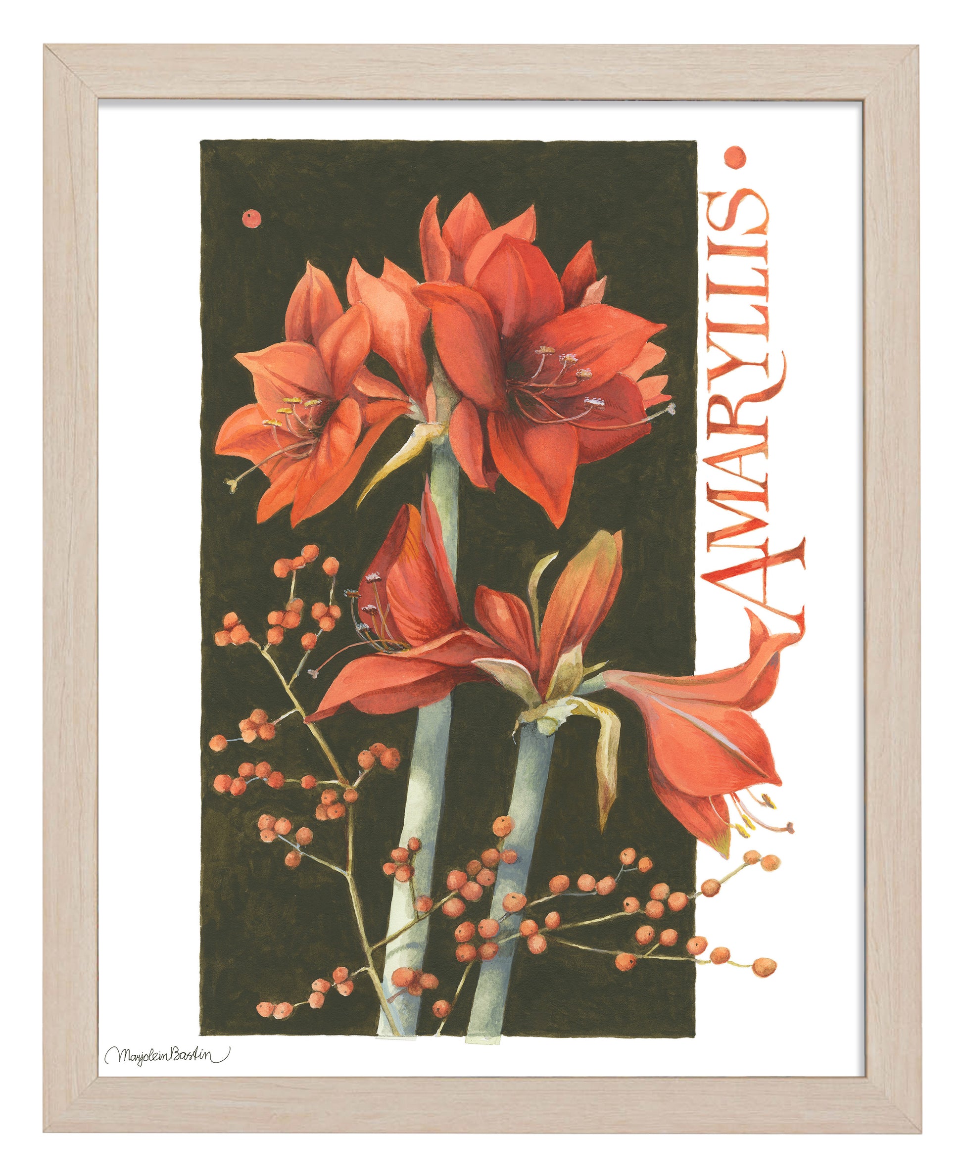 168500_11x14_Amaryllis_FRA_Print_NF.jpg