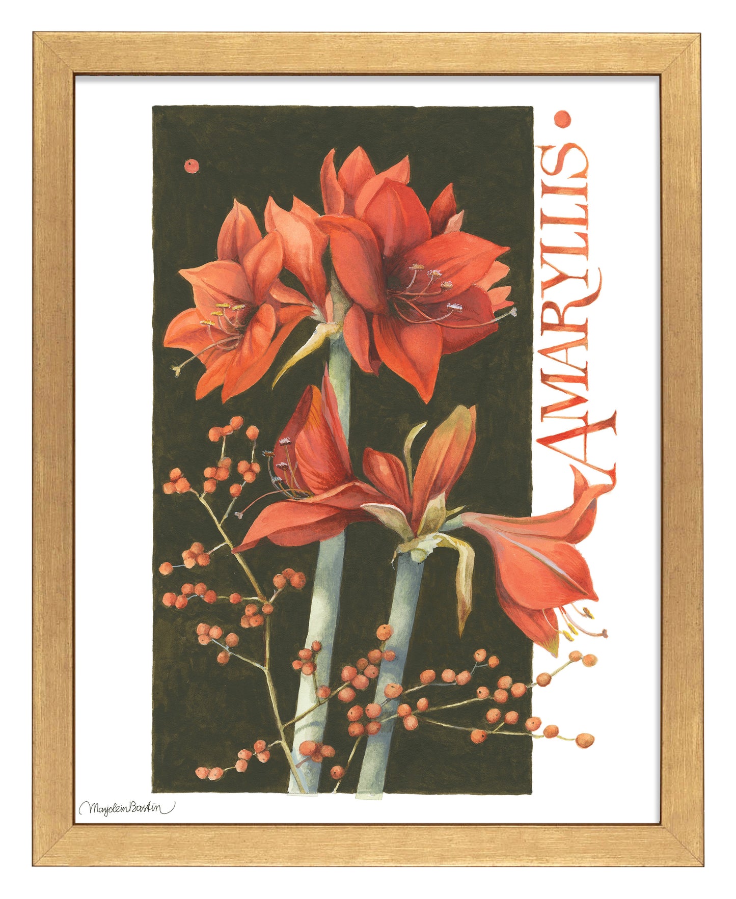 168501_11x14_Amaryllis_FRA_Print_GF.jpg