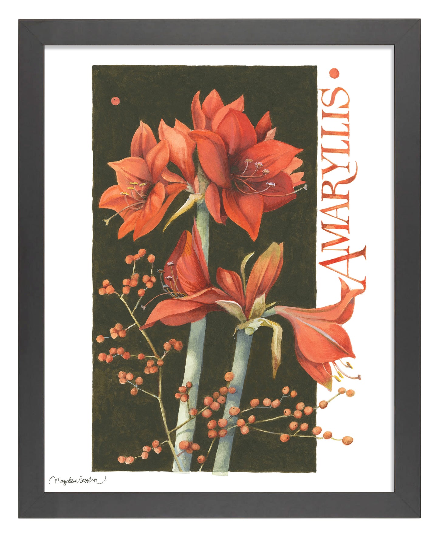 168502_11x14_Amaryllis_FRA_Print_BF.jpg