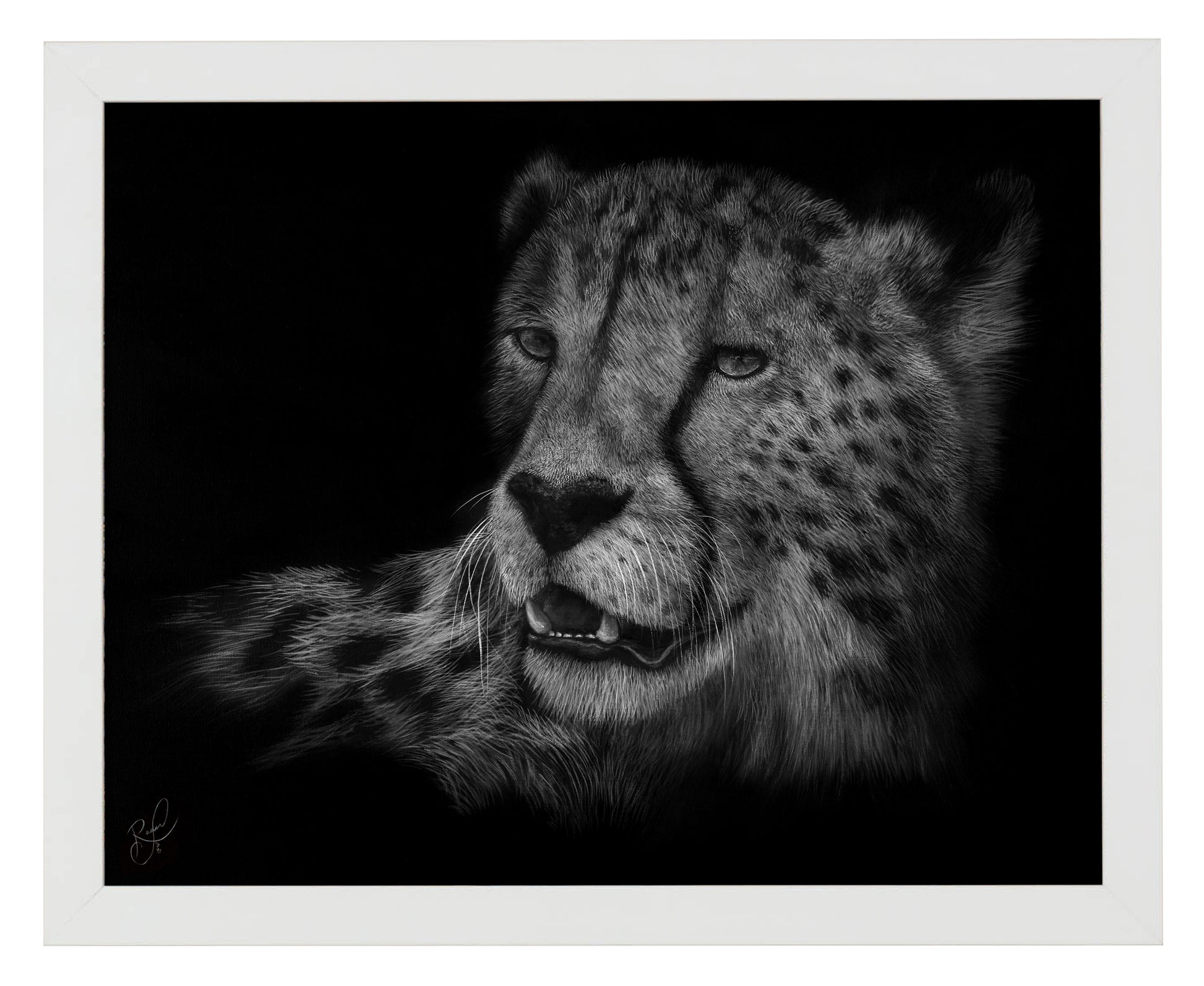 168564_Cheetah_11x14_FRA_Print_WF.jpg