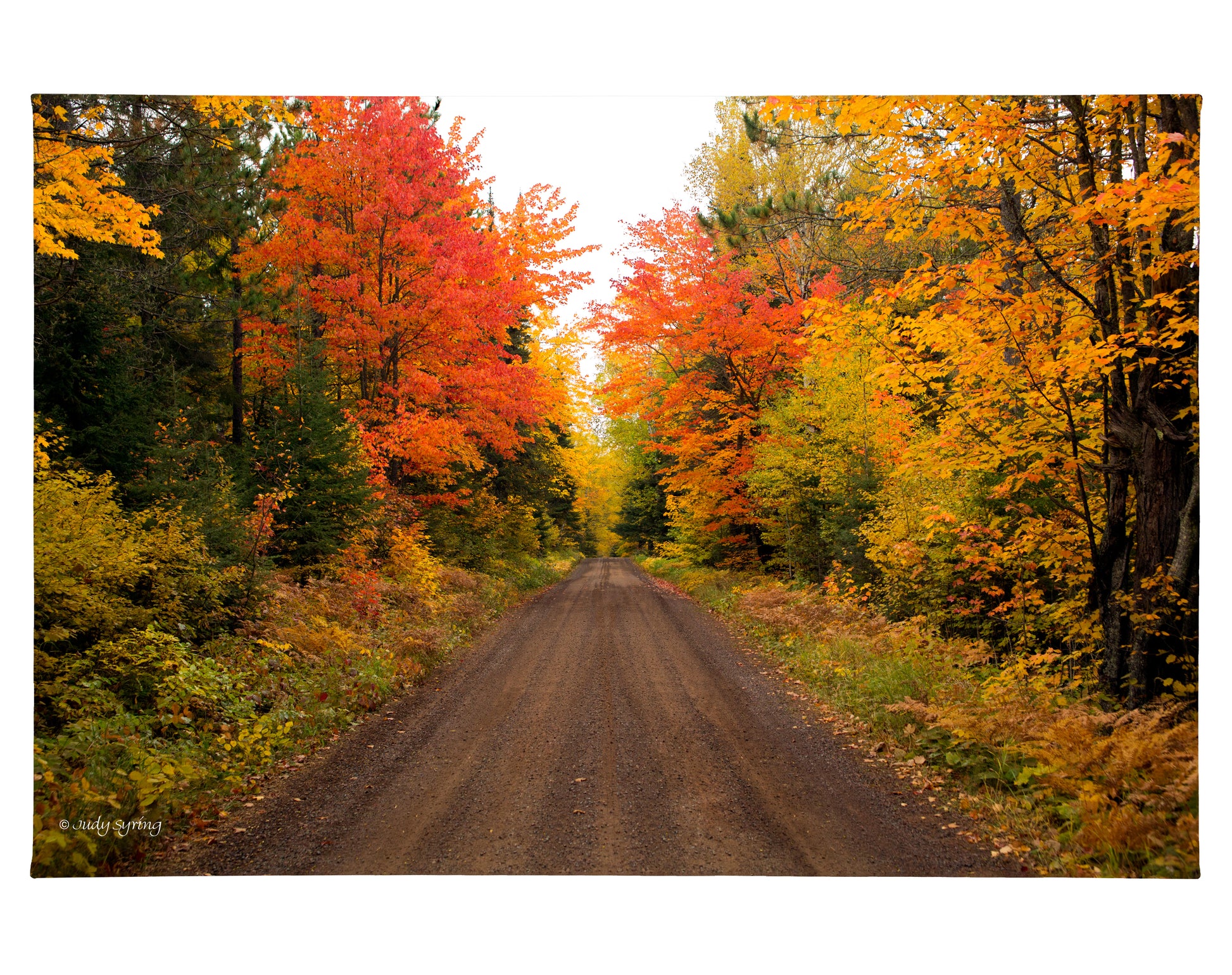 168930_Autumn Bliss_24x36_F_CGW.jpg