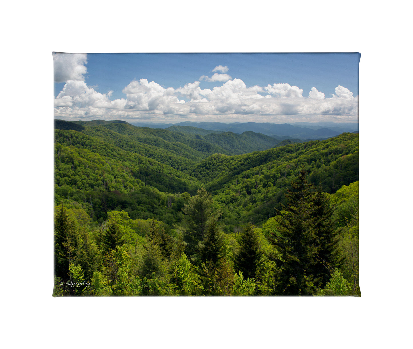 168936_Smoky Mountains_19x24_F_CGW.jpg