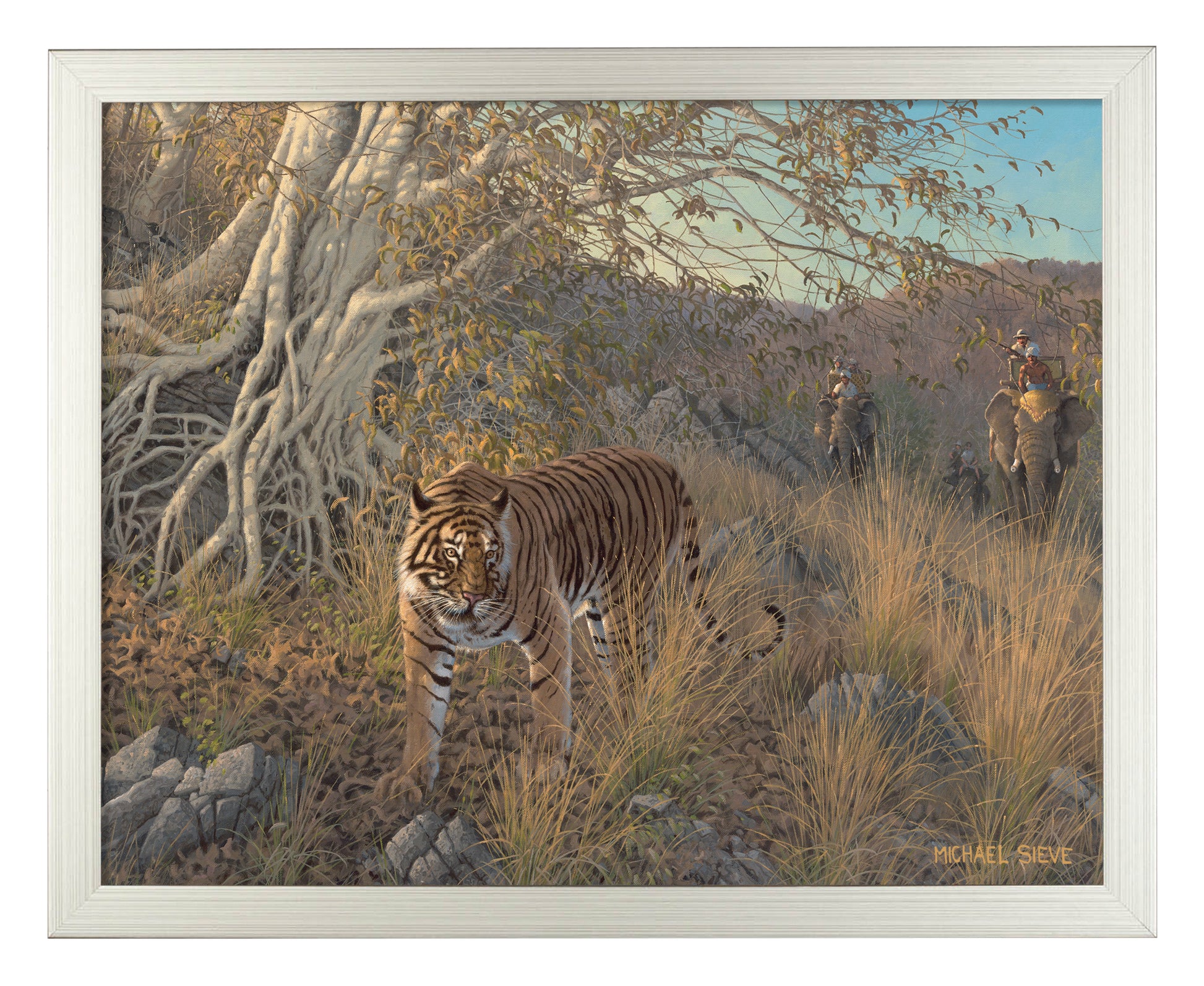 169673_FRA Royal Hunt-Tiger_11X14_SF.jpg