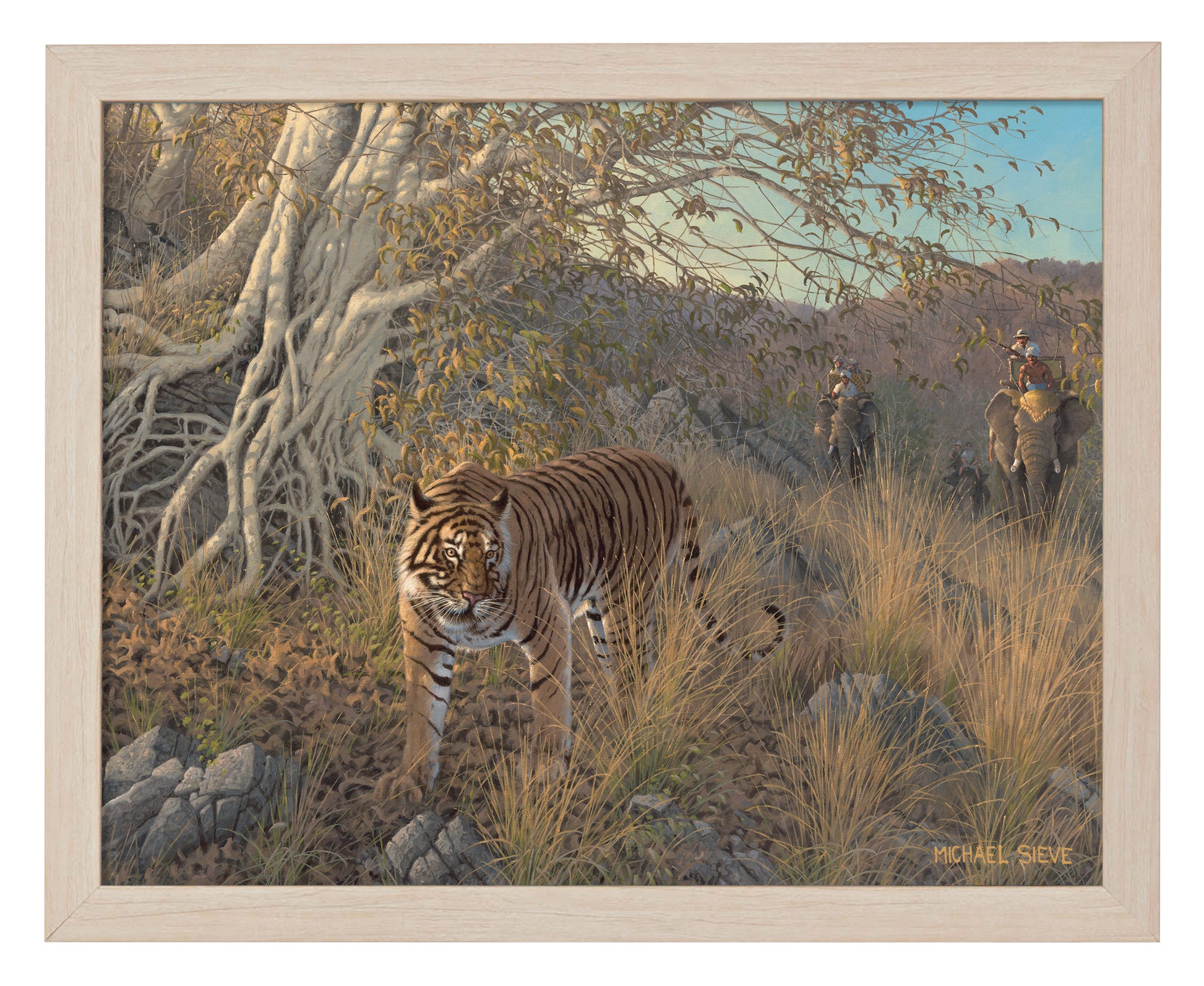 169674_FRA Royal Hunt-Tiger_11X14_NF.jpg