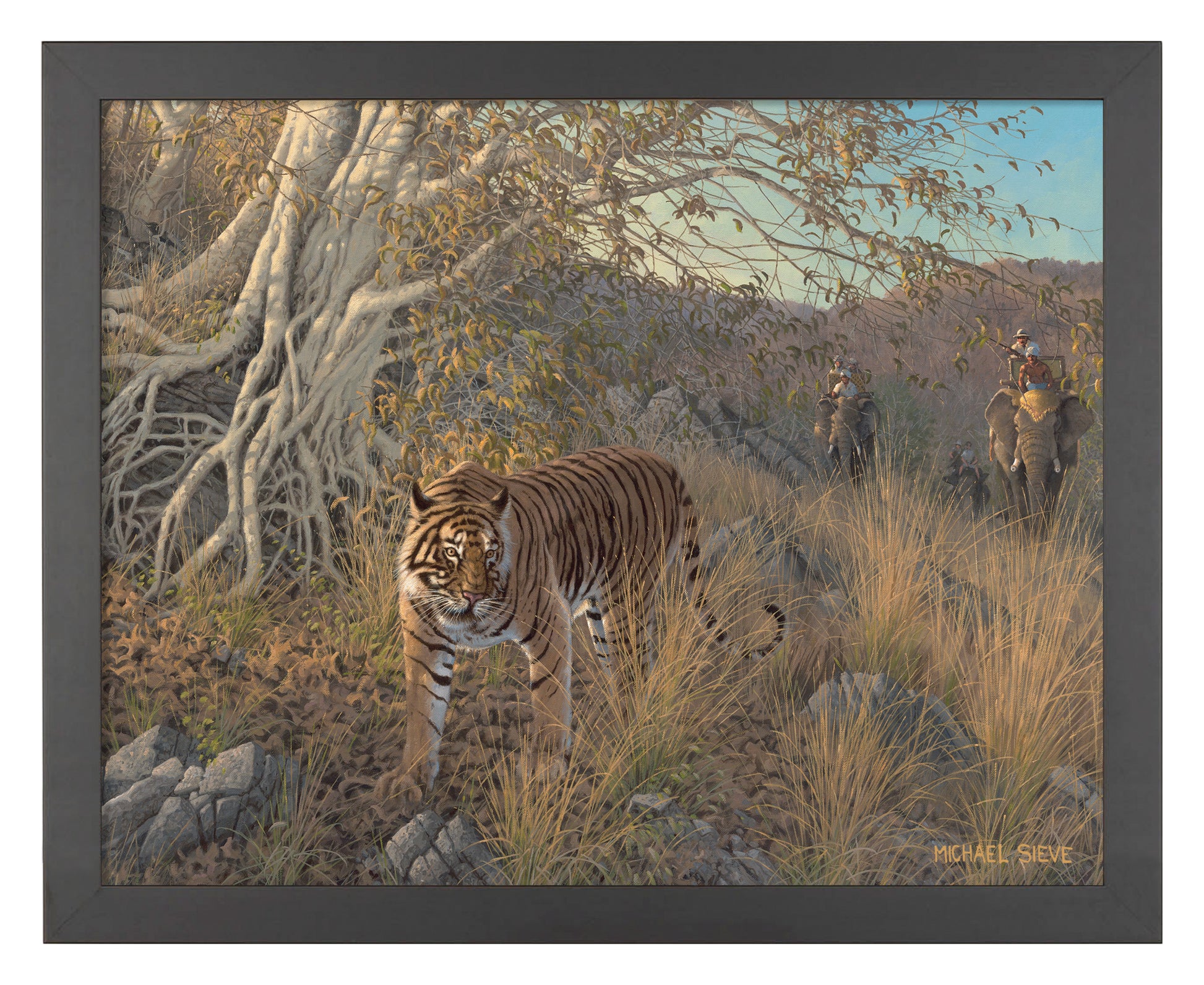 169676_FRA Royal Hunt-Tiger_11X14_BF.jpg