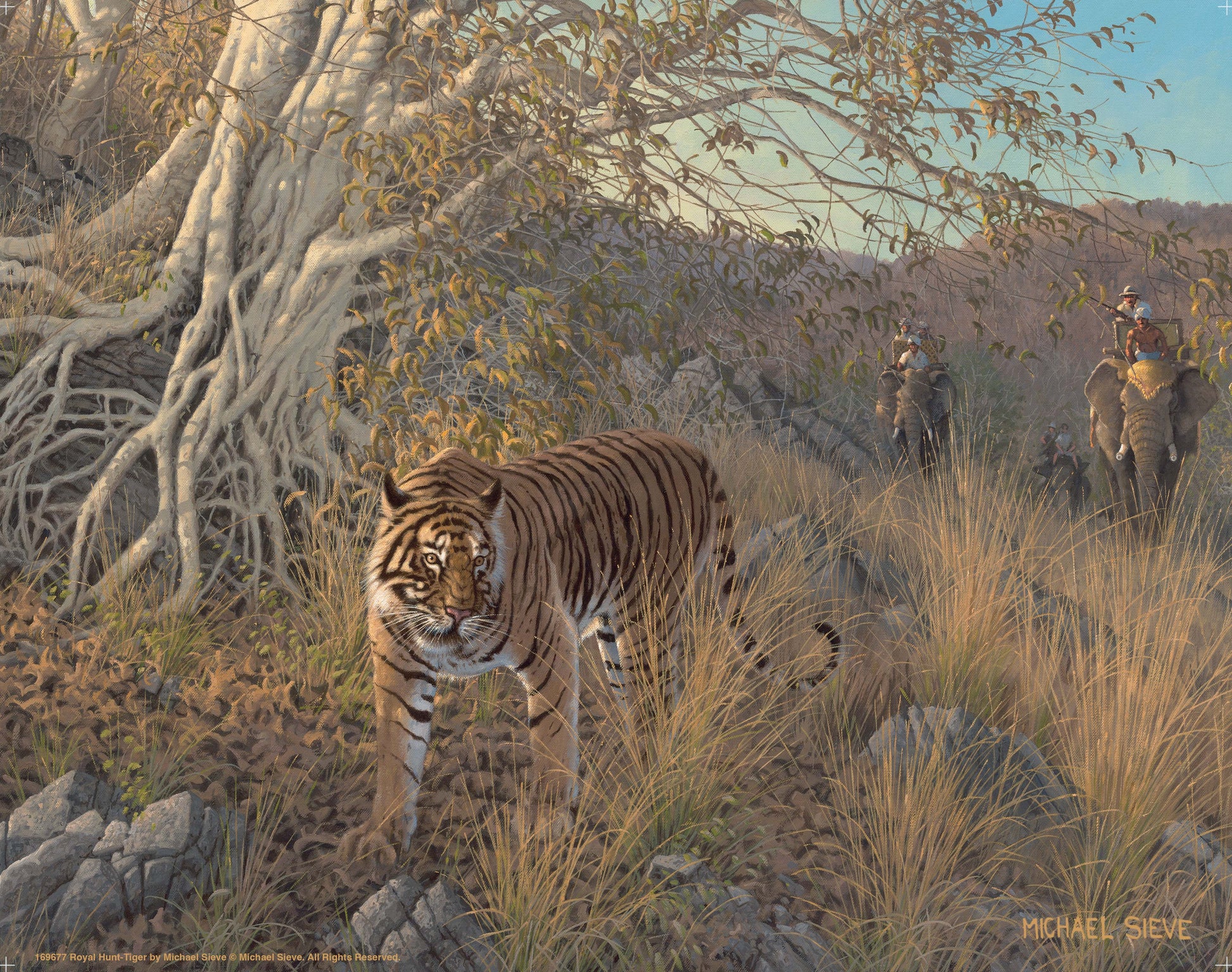 169677_GFT Royal Hunt-Tiger_11X14_Art Print.jpg