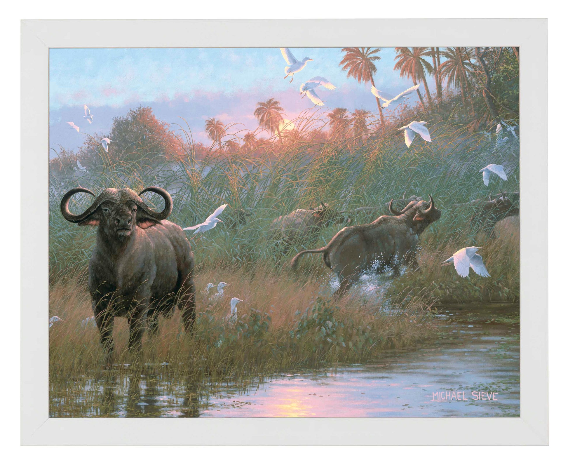 169826_FRA Cape Buffalo 11X14_WF.jpg