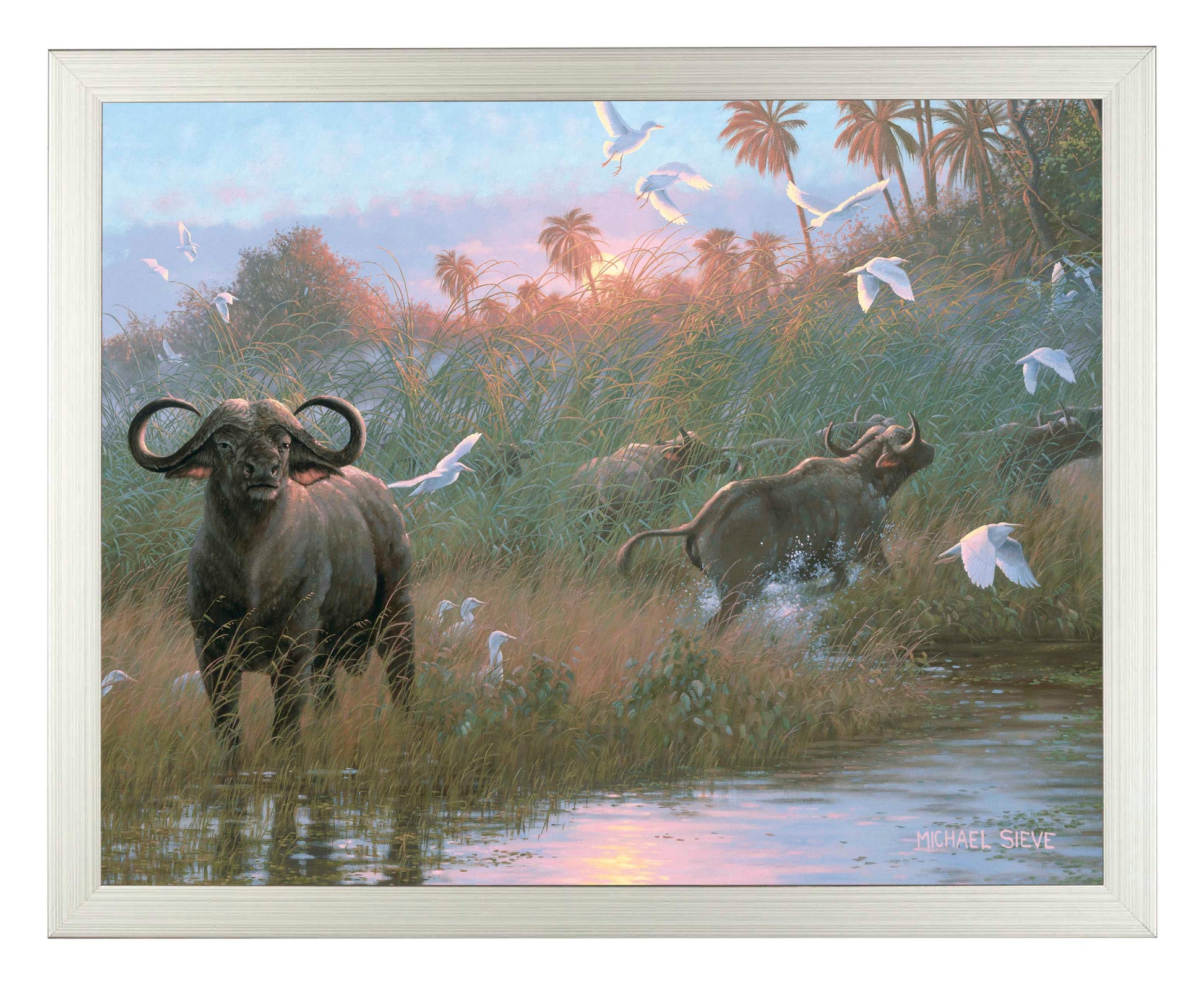 169827_FRA Cape Buffalo 11X14_SF.jpg