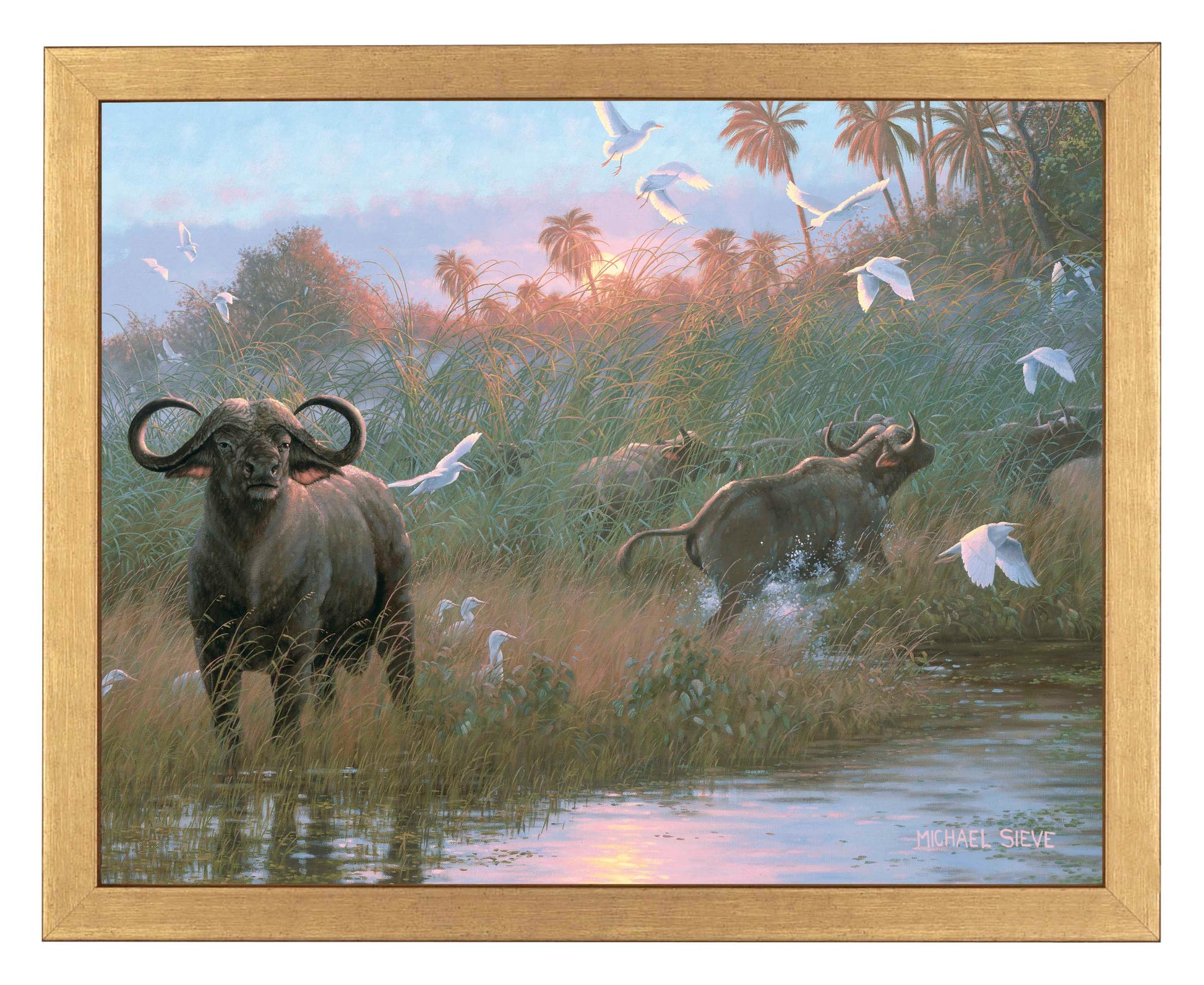 169829_FRA Cape Buffalo 11X14_GF.jpg