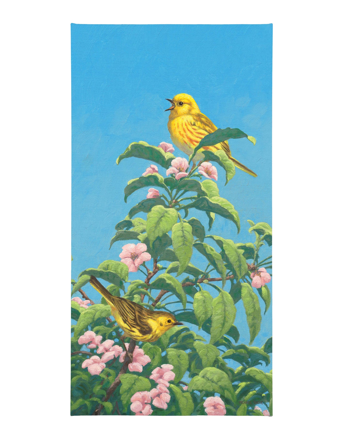 169954_Yellow Warbler_16x31_CGW_Mocked F.jpg