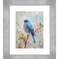 170011_FRA Serene Sojourn - Bluebird 9X12 Salerno Silver Framed Paper Print _Front BW74543.jpg