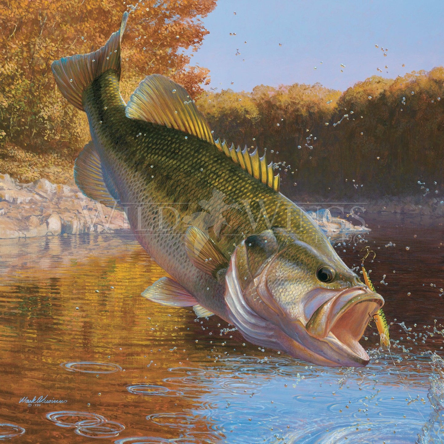 Cartwheeling - Fish Limited Edition Print by Mark A Susinno
