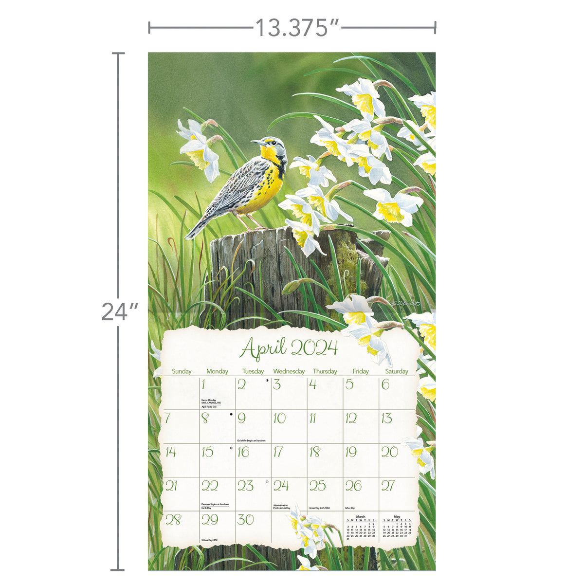 2024 Song Birds - Calendar