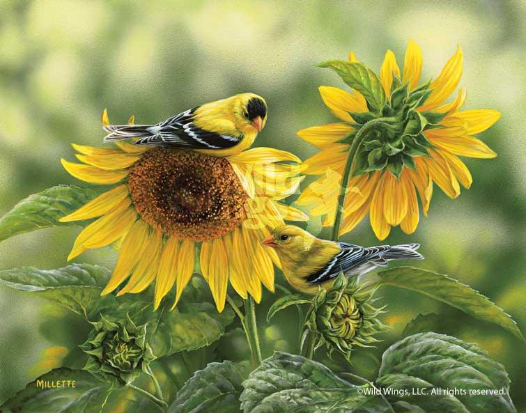Checking-the-Harvest-Millette-Song-Birds-Print-1593080029d.jpg