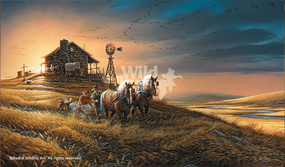 For-Amber-Waves-of-Grain-Encore-Canvas-Art-Print-by-Terry-Redlin-1701250489d.jpg