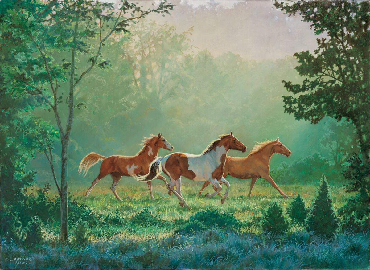 Morning Run-Horses.jpg