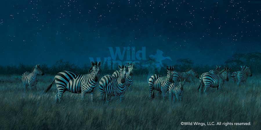 african-wildlife-art-zebras-midnight-on-serengeti-by-michael-sieve-1780492079d.jpg