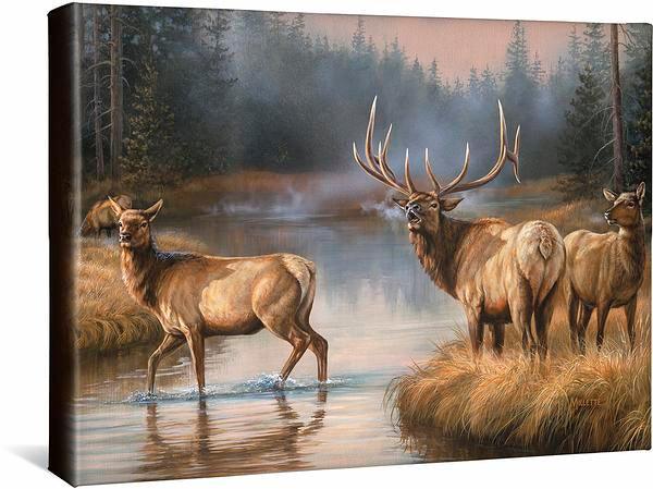 autumn-mist-elk-gallery-wrapped-canvas-rosemary-millette-F593010766CGW_3d8df13f-af16-4369-82a2-796aa1111220.jpg