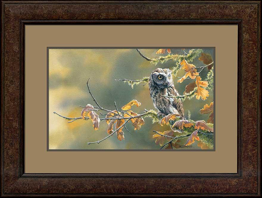 autumn-oak-screech-owl-by-susan-bourdet-F085699030d.jpg