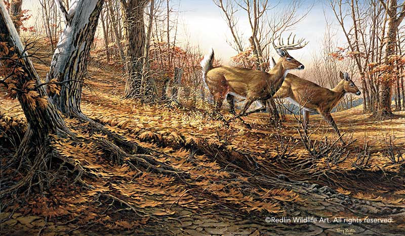 autumn-run-deer-by-terry-redlin-1701110089d.jpg