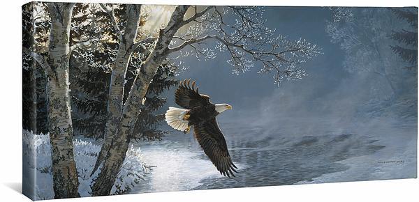 awakening-bald-eagle-gallery-wrapped-canvas-persis-clayton-weirs-F925020732CGW_160ebd49-7ca0-4a22-aa9a-99131c365931.jpg