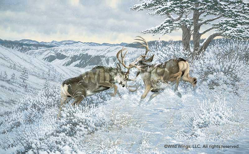 battling-mule-deer-art-by-michael-sieve-1780058065d_cec39bae-5efa-4474-8e4f-de3a48799b2a.jpg