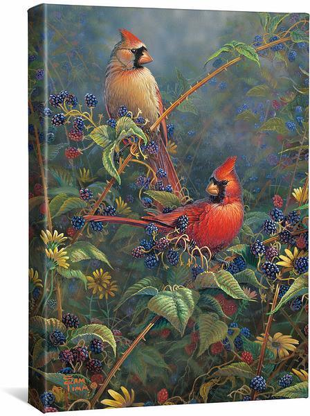 berry-bush-hideout-cardinals-gallery-wrapped-canvas-sam-timm-F874065426CGW_b3f63039-be9d-49b8-9eb6-f52110614c9f.jpg
