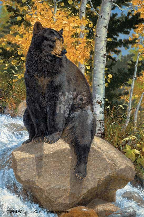 black-bear-art-print-the-paws-that-refreshes-by-lee-kromschroeder-1476620075d_28f6a8c9-bd4d-401b-83d1-b9c77ce687aa.jpg